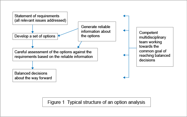 Typical structure of an option analysis